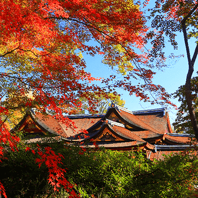 京都遺産めぐりのイメージ
